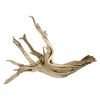 Desert Drift Wood L 40-50cm