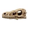 Raptor Skull - Large