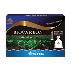 Shg Biocarbon 1