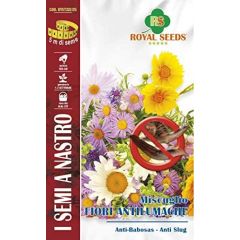 Miscuglio di sementi di Fiori Antilumache preseminati su nastro