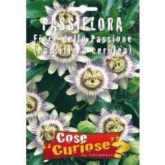 Semi Di Passiflora (fiore Della Passione)