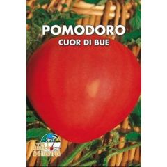 Semi di Pomodoro Cuore di Bue