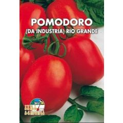 Semi di Pomodoro Petomech