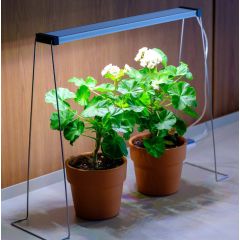 Twinstar - Spring Wire 35cm Set - Stand portalampade