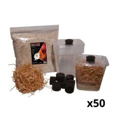 DrosoBreeder - Kit allevamento Drosophile Professionale