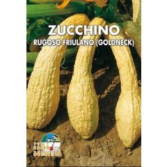 Semi Zucchino Nano Giallo Friulano 