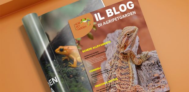 BLOG AGRIPETGARDEN